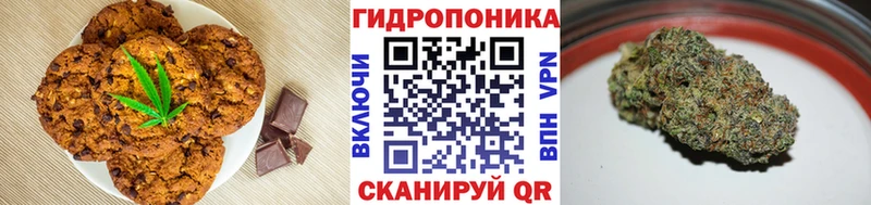blacksprut ONION  сколько стоит  Суджа  Canna-Cookies марихуана 
