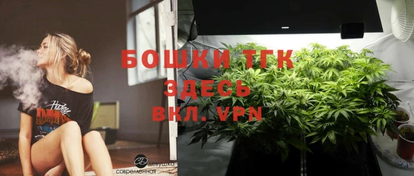 спайс Алексин