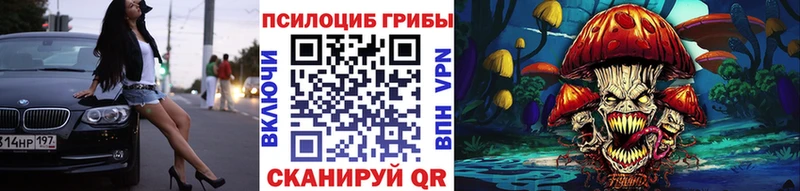 как найти закладки  Суджа  Псилоцибиновые грибы прущие грибы 